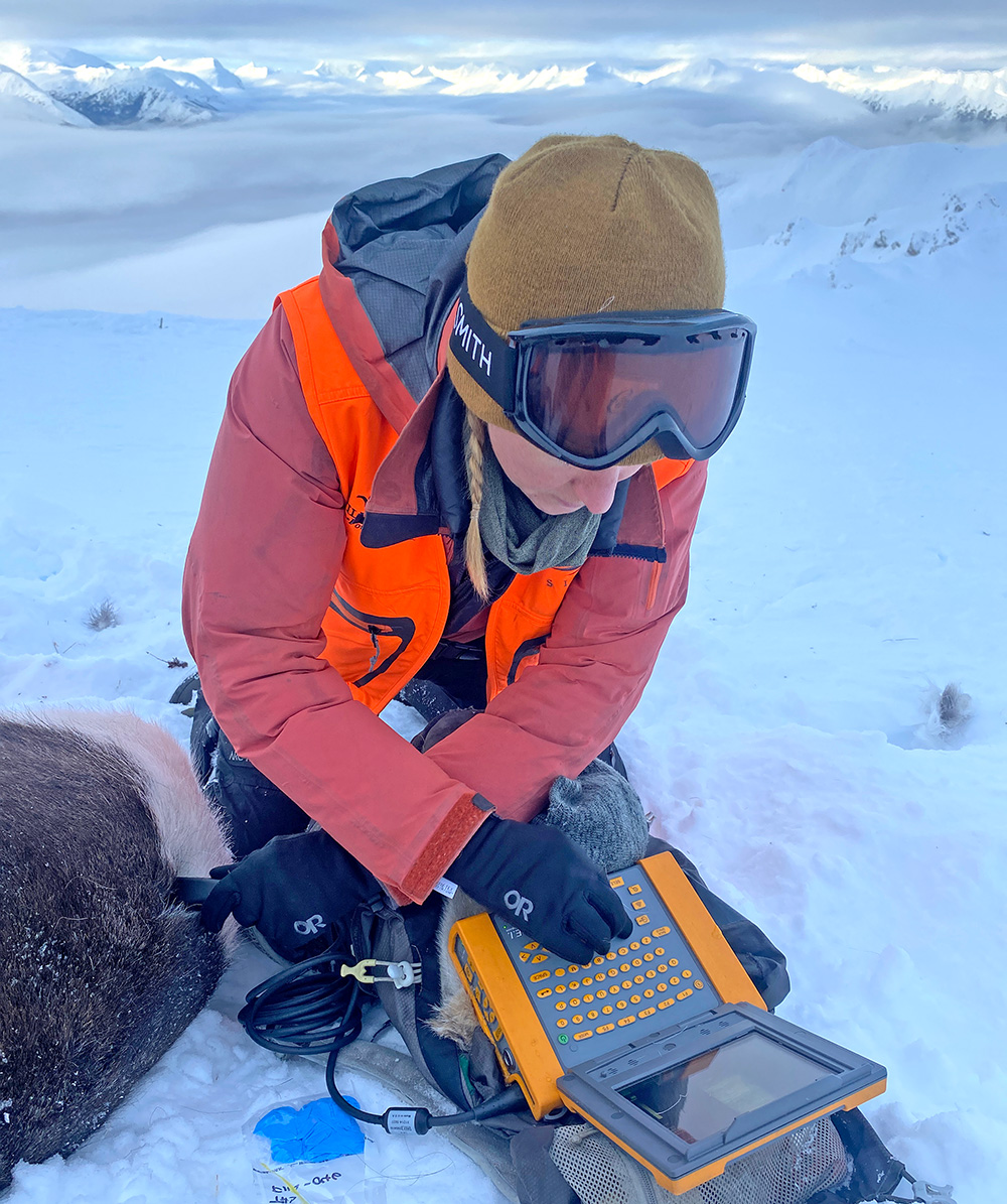 Morgan Anderson using a portable ultrasound device to measure rump fat depth